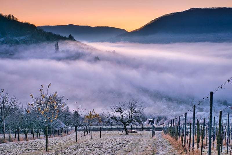 Napa Valley